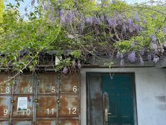 -丰台花园