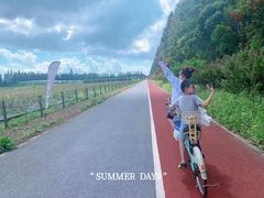 -上海长兴岛郊野公园