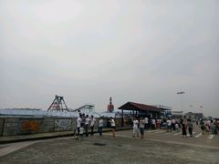 -碧海金沙