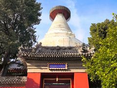 -妙应寺白塔