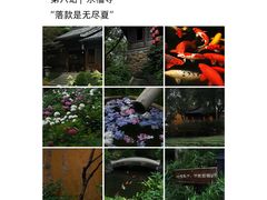 -西湖文化广场
