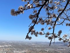-北京凤凰岭