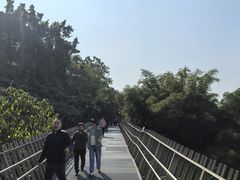 -福道