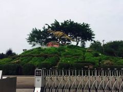 -自贡恐龙博物馆