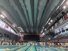 -陕西省游泳跳水馆