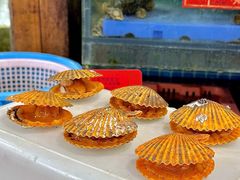 -坛南湾阿强农家乐.海鲜大排档老字号(福州地标美食店)