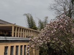 -青龙湖公园