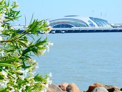-上海吴淞炮台湾国家湿地公园