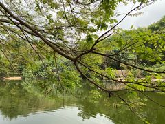 -深圳国际园林花卉博览园