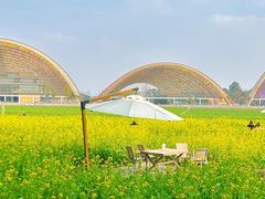 -中国天府农业博览园