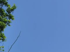 -浔味·山屿湖·正宗淳牌全鱼宴老字号