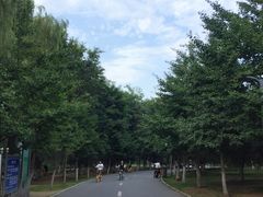 -长白岛森林公园