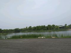 -尚贤河湿地