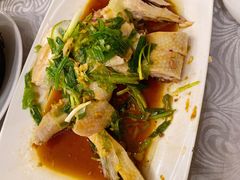 招牌葱油鸡-粤·向群饭店(龙津东路总店)