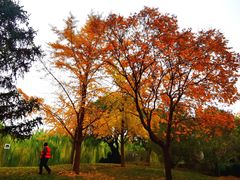 -元大都城垣遗址公园