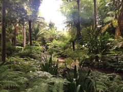 -墨尔本皇家植物园