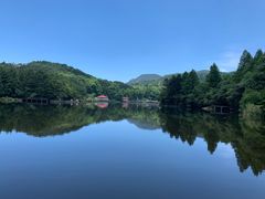 -庐山风景区花径公园