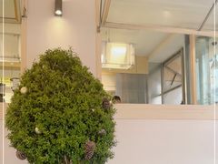-大青树咖啡(大理古城店)