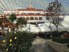 -拉萨圣地天堂洲际大饭店-自助餐厅
