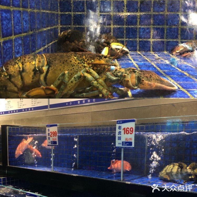 珠海20年地道顺德菜