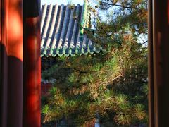 -迎泽公园