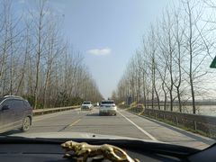 -湖南东洞庭湖国家级自然保护区