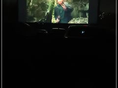 -枫花园汽车电影院(朝阳公园店)
