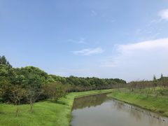 -上海海湾国家森林公园