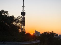 -广州雕塑公园