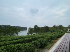 -南湾湖