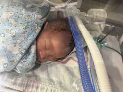 -复旦大学附属妇产科医院(杨浦院区)