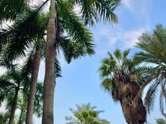 -厦门北海湾惠龙万达嘉华酒店