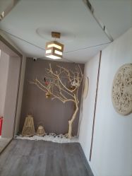 -悦尚生活空间•瑜伽普拉提•悦心芳香疗愈SPA