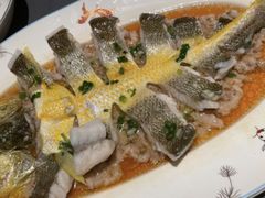 -小炳胜(卓悦中心店)