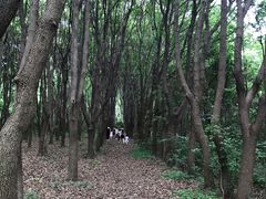 -同里国家湿地公园