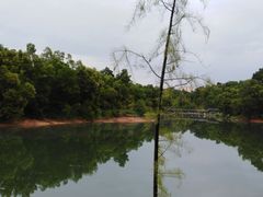 -聚龙山公园