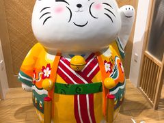 -屋虎猫馆(宝安大仟里店)