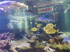 -凯德广场(学府店)