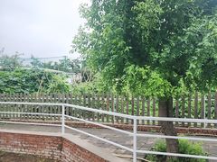 -丽泽山庄·生态怀柔菜·虹鳟鱼(红螺寺店)