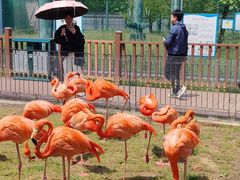 -秦皇岛野生动物园