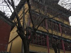-挂甲禅寺