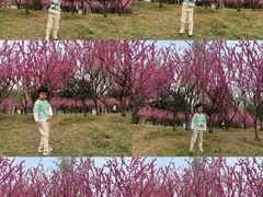 -玲珑塔公园