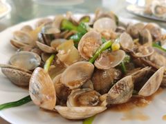 姜葱炒花甲-七鲜渔港美食餐厅(巽寮湾海景店)