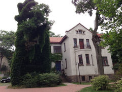 iphone_upload_pic-八大关景区