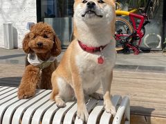 -小意思咖啡店(草桥店)