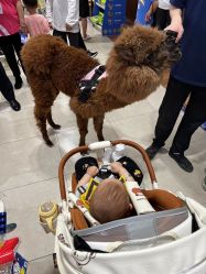 -孩子王(建邺金鹰世界店)