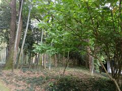 -兰亭风景区
