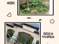 -黔灵山公园