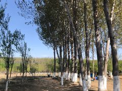 -东郊湿地公园