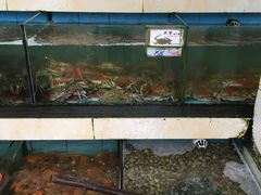水产区-秋姐美食店(旅游大道店)